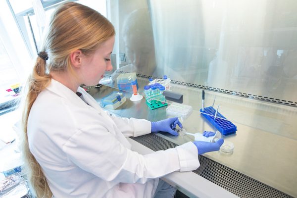 Student conducts experiment with stem cells in a lab
