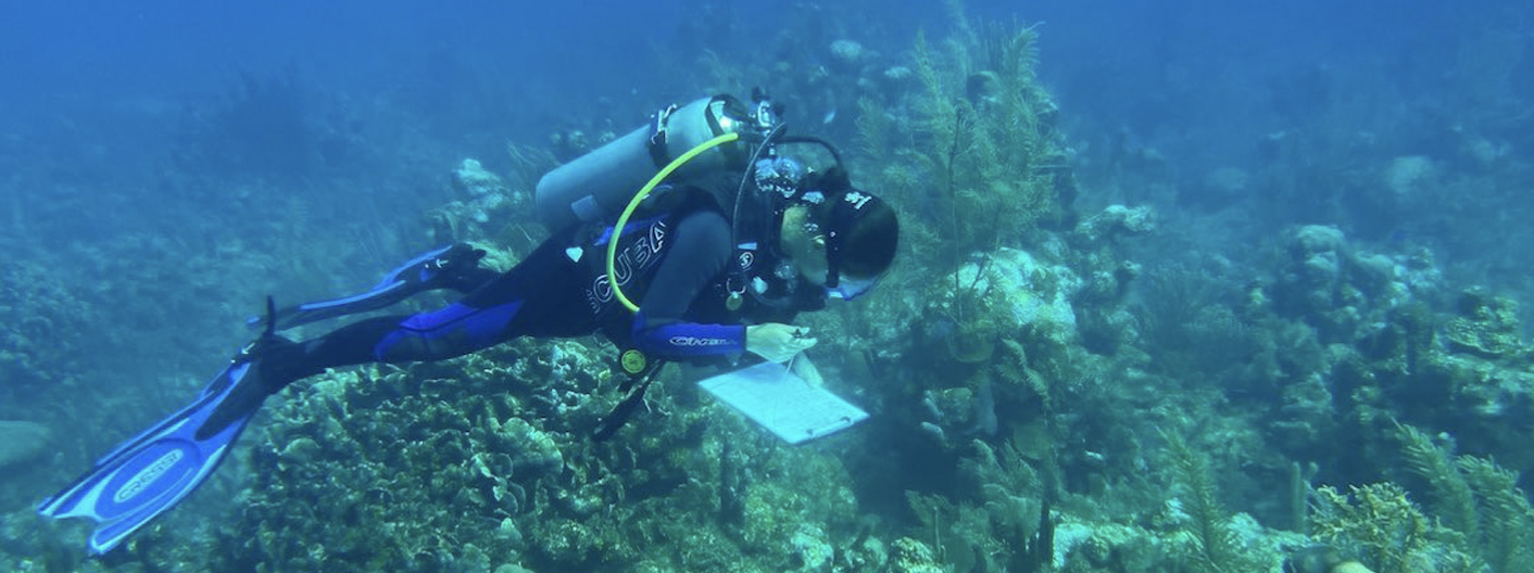 researcher from Iowa state scuba diving