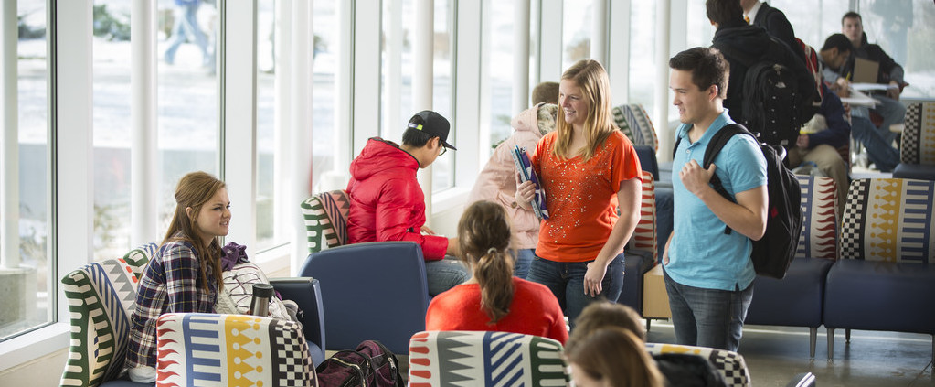 Group of students studying together